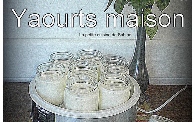 Yaourt à la vanille et yaourt à la fleur d'oranger