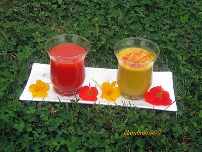 Soupes aux poivrons