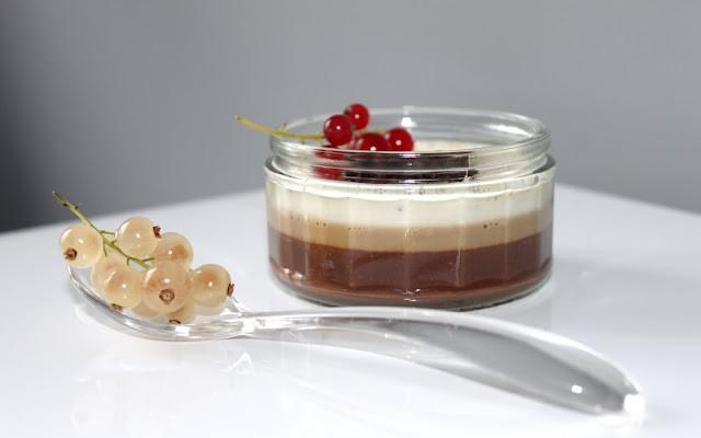 Panna cotta tri-gout