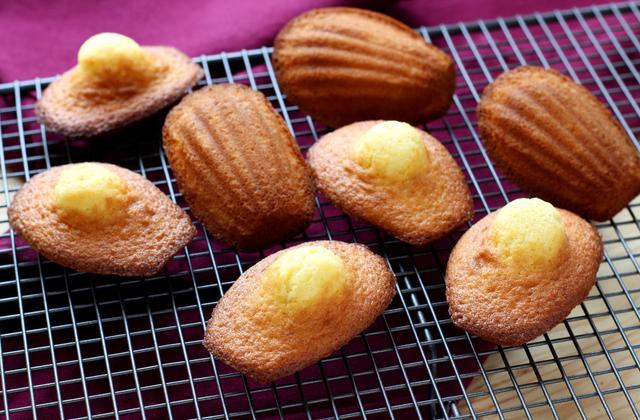 Madeleines, la recette 100% fiable ! - Photo par Pascale Weeks