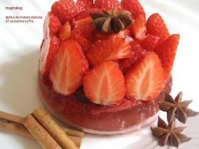 Gelée de fraises épicées et sa Panna Cotta - Mamina