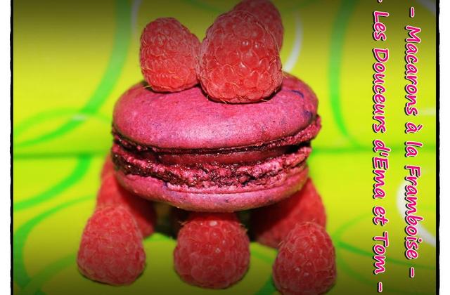 Macarons à la framboise inratables - Photo par Les douceurs d'Ema et Tom