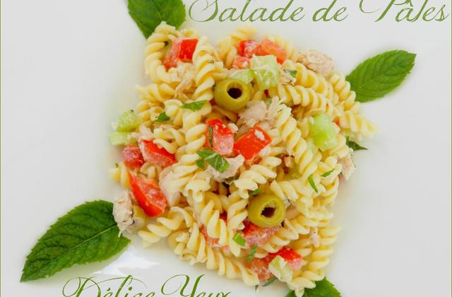 La salade de pâtes, thon et menthe... - Photo par MamaDélice