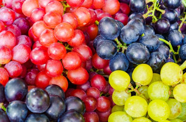 Les records du monde food les plus insolites - Cristina Lièvre