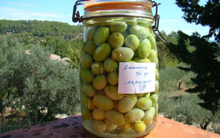 Olives vertes en saumure - Photo par jupiter