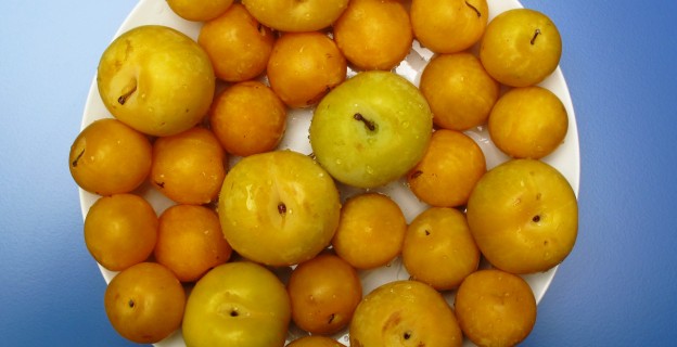 10 choses à savoir sur les prunes - Pascale Weeks