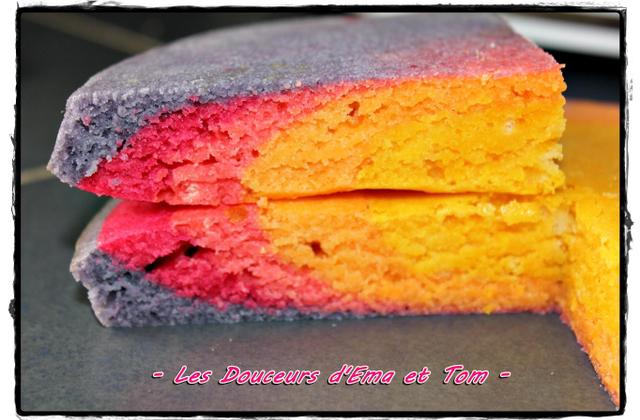 Le gâteau arc en ciel - Photo par Les douceurs d'Ema et Tom