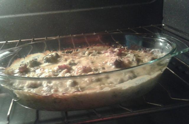 Gratin de brocolis et de choux fleur - Photo par stephaiow