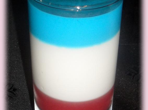 French panna cotta light - Photo par Nattycuisine