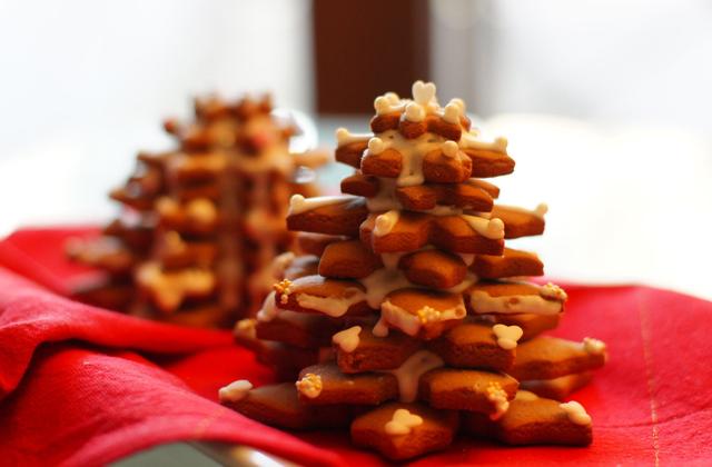 Les sapins gourmands - Photo par kokotka