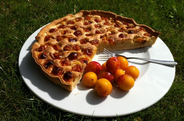 Tarte à la mirabelle et aux amandes - Photo par caroliJKp