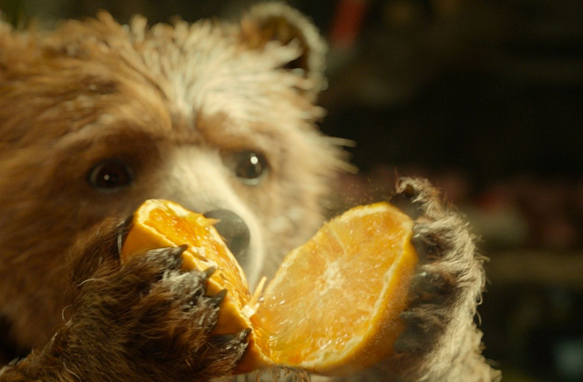 7 chouettes choses à faire avec un pot de marmelade d'oranges