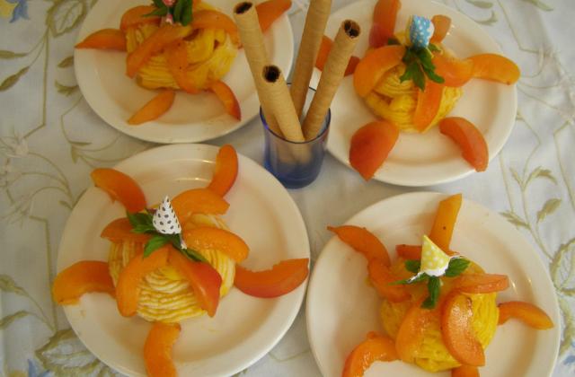 Demi-Sphères de sorbet aux abricots - Photo par findv