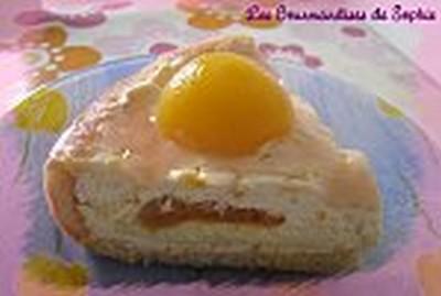 Entremet à l'abricot et à la vanille - Photo par Sophie21
