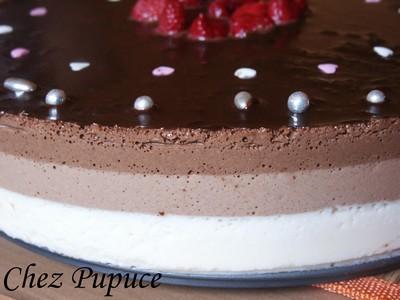 Entremet aux 3 chocolats et son miroir de chocolat noir - Photo par myriamn5