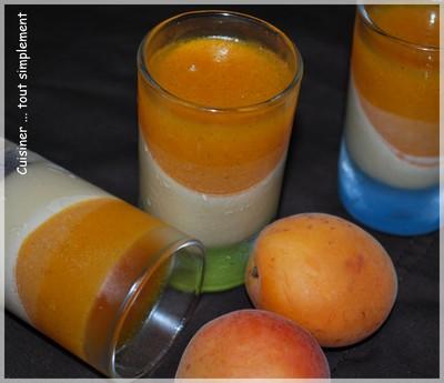 Panna Cotta au chocolat blanc et abricot - Photo par cuisinertoutsimplement