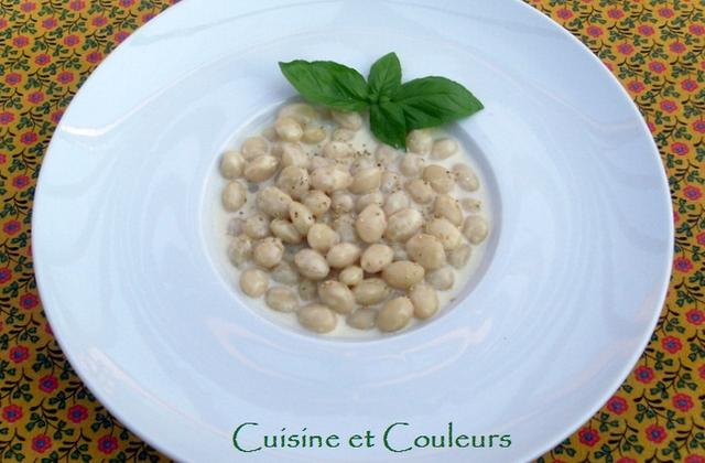Cocos de paimpol à l'ail blanc, comme un risotto - Photo par irisdelabeaume
