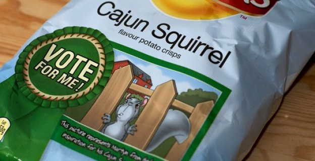 TOP 10 des paquets de chips aux goûts improbables  - Julien - 750g