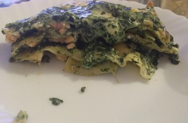 Lasagnes de saumon aux épinards - Photo par aureliY7Ux