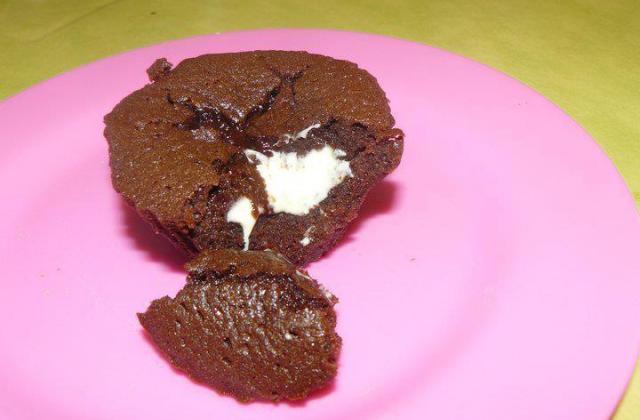 Moelleux aux deux chocolats rapide - Photo par cicoucook