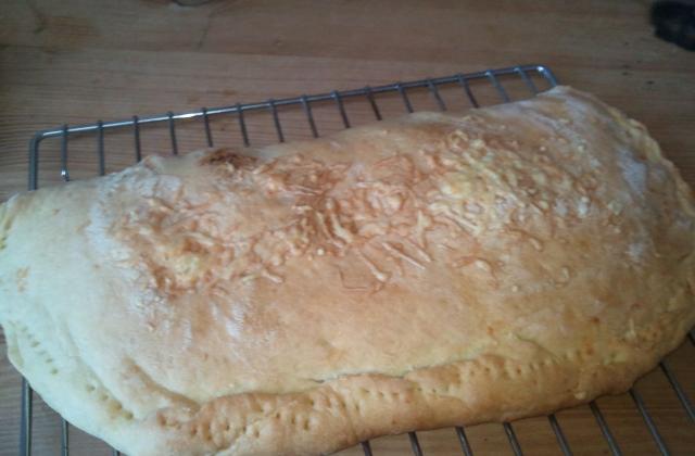Pizza calzone olives et origan - Photo par modest