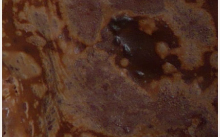 Crêpes au chocolat maison - Photo par marionNc