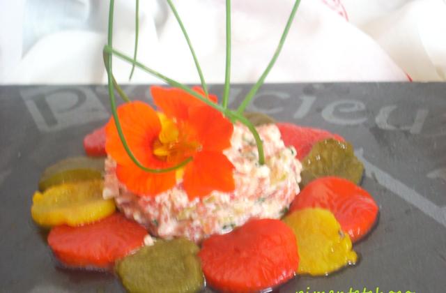 Carpaccio de poivrons et son tartare de tomate au chevre - Photo par seroby