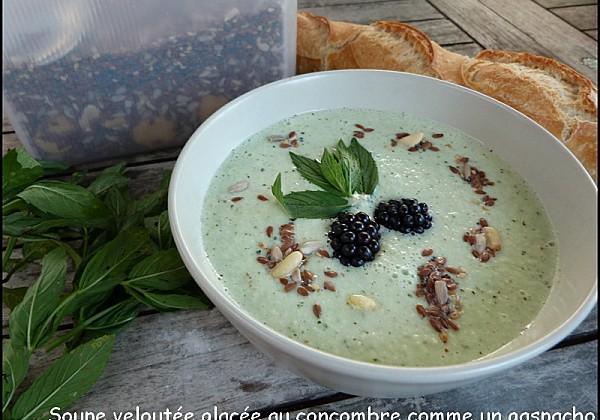 Soupe, velouté glacé au concombre comme un gaspacho - Photo par aureliVD
