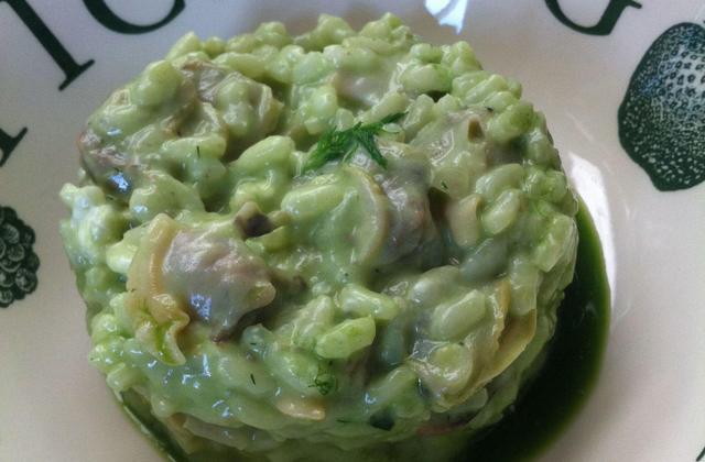 Risotto au fenouil sauvage et aux palourdes - Photo par Manjari