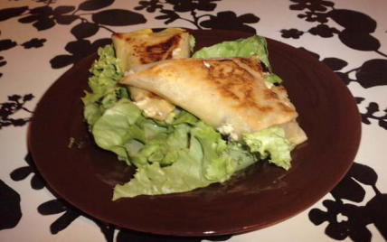 Bricks au chèvre frais et pesto - Photo par cameligP