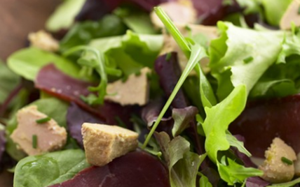 Salade de magret et foie gras - Photo par Labeyrie