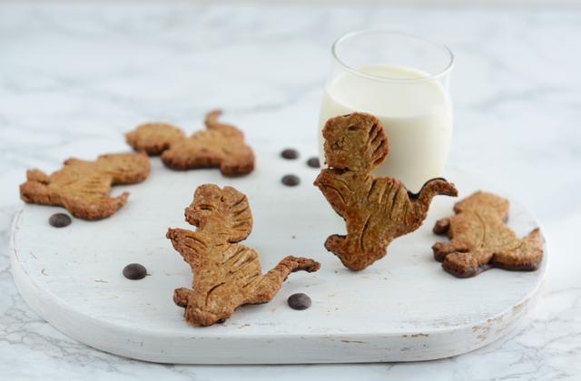 Biscuits façon Dinosaurus - Photo par Nadia Paprikas