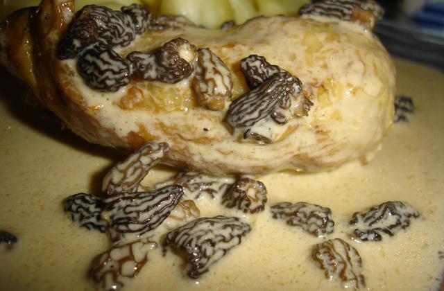 Cuisses de poulet aux morilles - Photo par stephjh