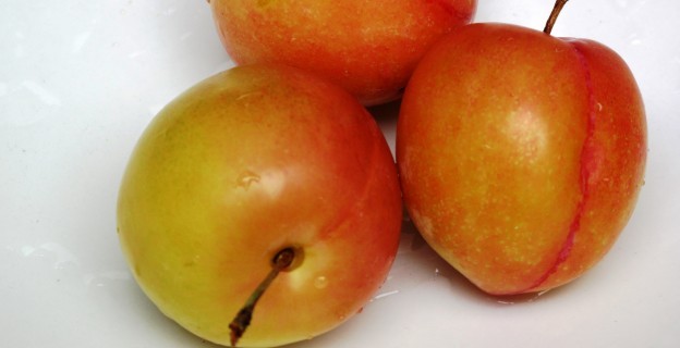 10 choses à savoir sur les prunes - Pascale Weeks
