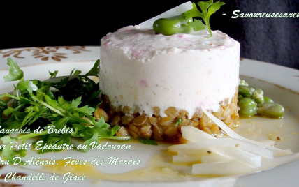 Bavarois de brebis sur petit épeautre au vadouvan - Photo par fabienra