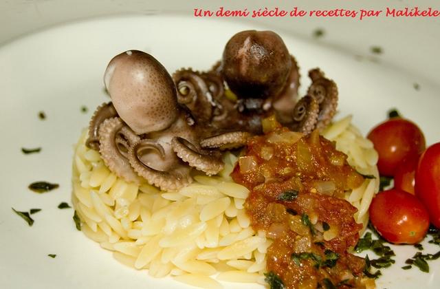 Bébés poulpe au pesto - Photo par malikele