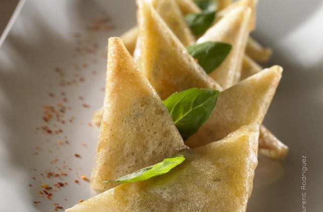 Petits triangles croustillants aux légumes et aux deux fromages Giovanni Ferrari - Photo par Quiveutdufromage.com