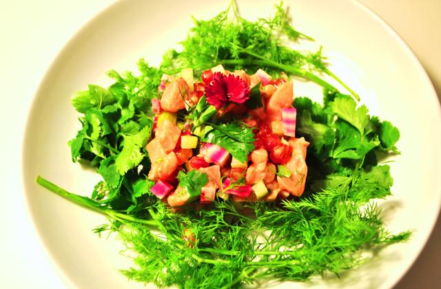 Tartare multicolore aux deux saumons - Photo par les becs fins