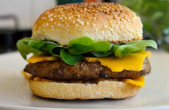 Hamburger Homemade with love - Photo par veroniW7