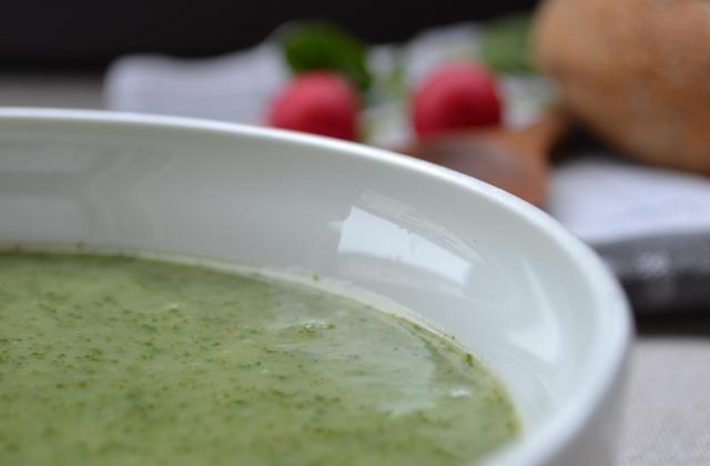Velouté aux fanes de radis - Photo par Chef Mignonnette