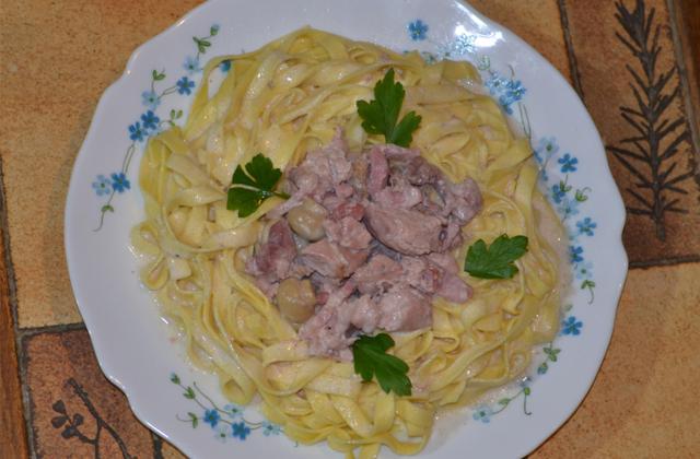 Faisan sur son nid de tagliatelles - Photo par dreamtL