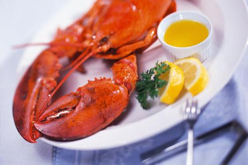 Homard grillé au four - Photo par 750g