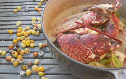 Civet de homard Breton - Photo par Chef Damien