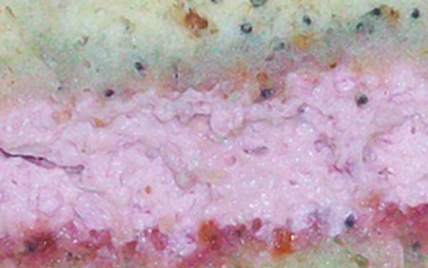 The gâteau white & pink, pâte au sésame et au pavot mi-vanille, mi-citron, fourrage aux framboises, ganache chocolat noir aromatisé au sirop de cranberry - Photo par Gourmande4ever