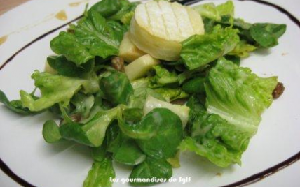 Salade du berger endormi dans un verger ! - Photo par Lesgourmandisesdesylf