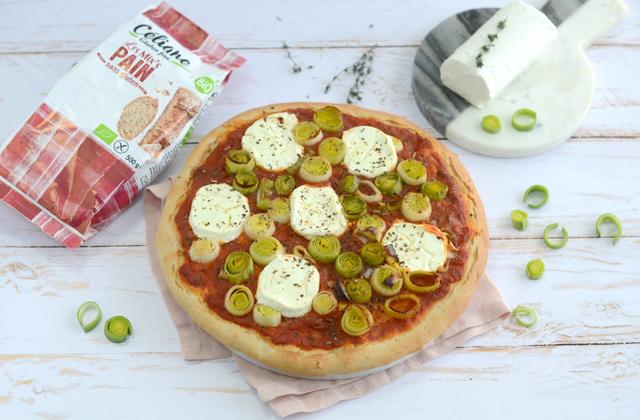 Pizza sans gluten aux légumes et au chèvre - Photo par Nadia Paprikas