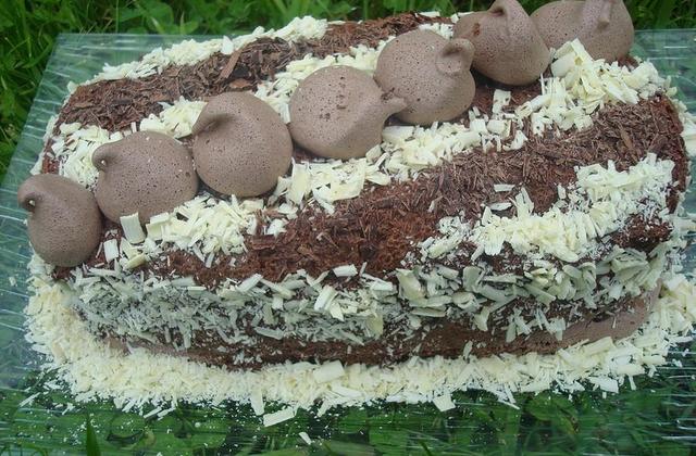 Ma Bûche Concorde - Photo par Utilisateur 619709