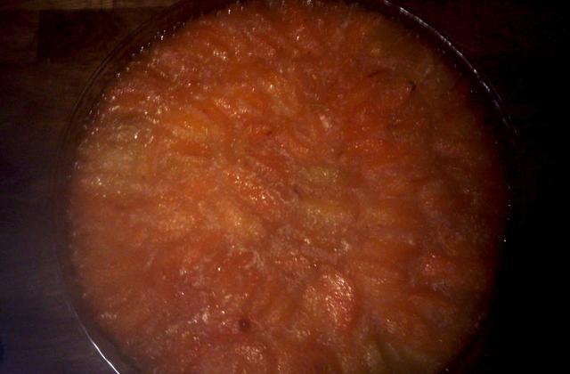 Tarte aux abricots savoureuse - Photo par missanm