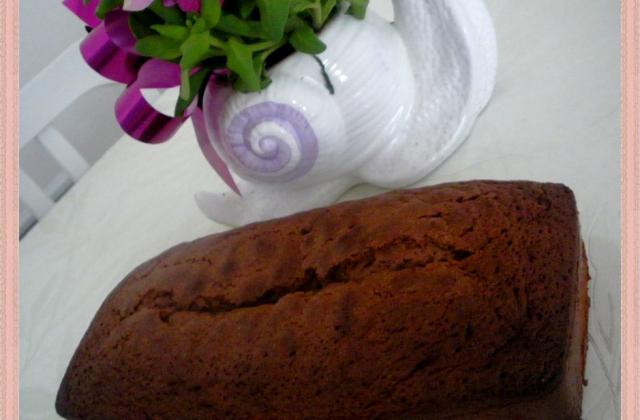 Cake fondant au chocolat facile - Photo par mllelaeti