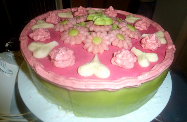 Recette Framboisier 750g